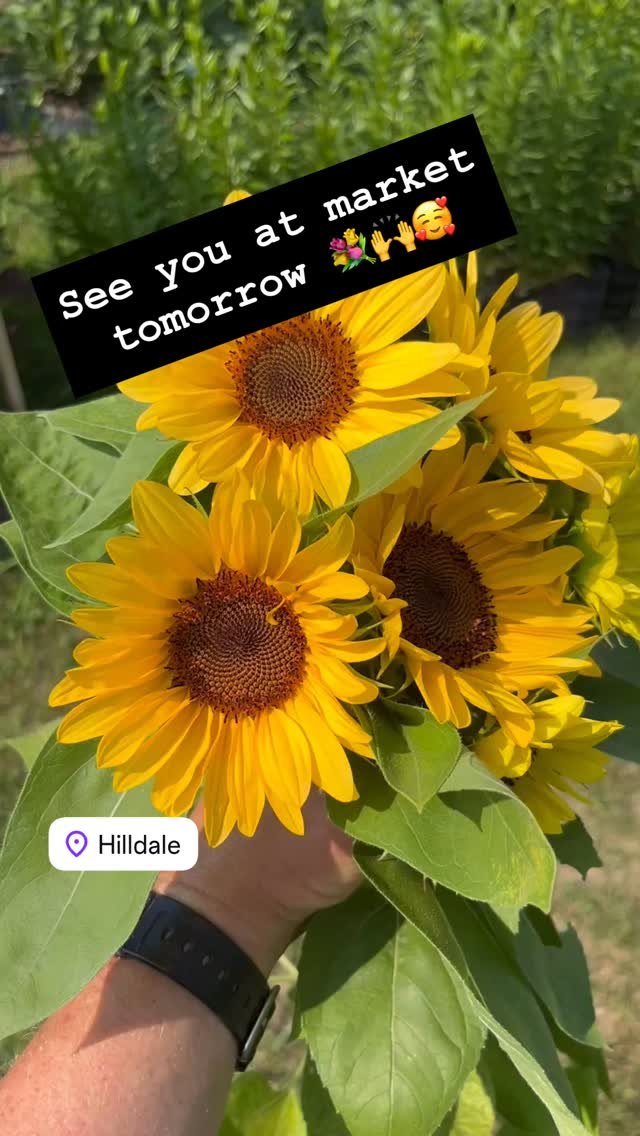 We might get a spot of rain early, but plan to be at market tomorrow 8am-1pm. See you there!
#localflowers #cutflowers #farmersmarket #madisonwi