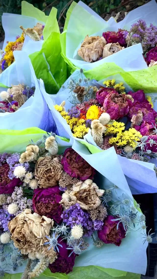 See ya’ll at the market tomorrow!!
#madisonwi #farmersmarkets #hilldalemadison #localflowers #driedflowers #flowerfarming
