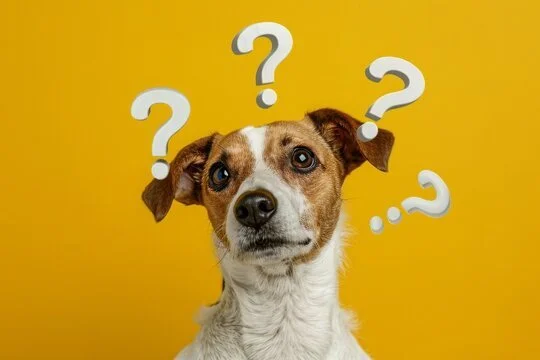 Why Biological Fulfillment Matters in Your Dog’s Behavior
