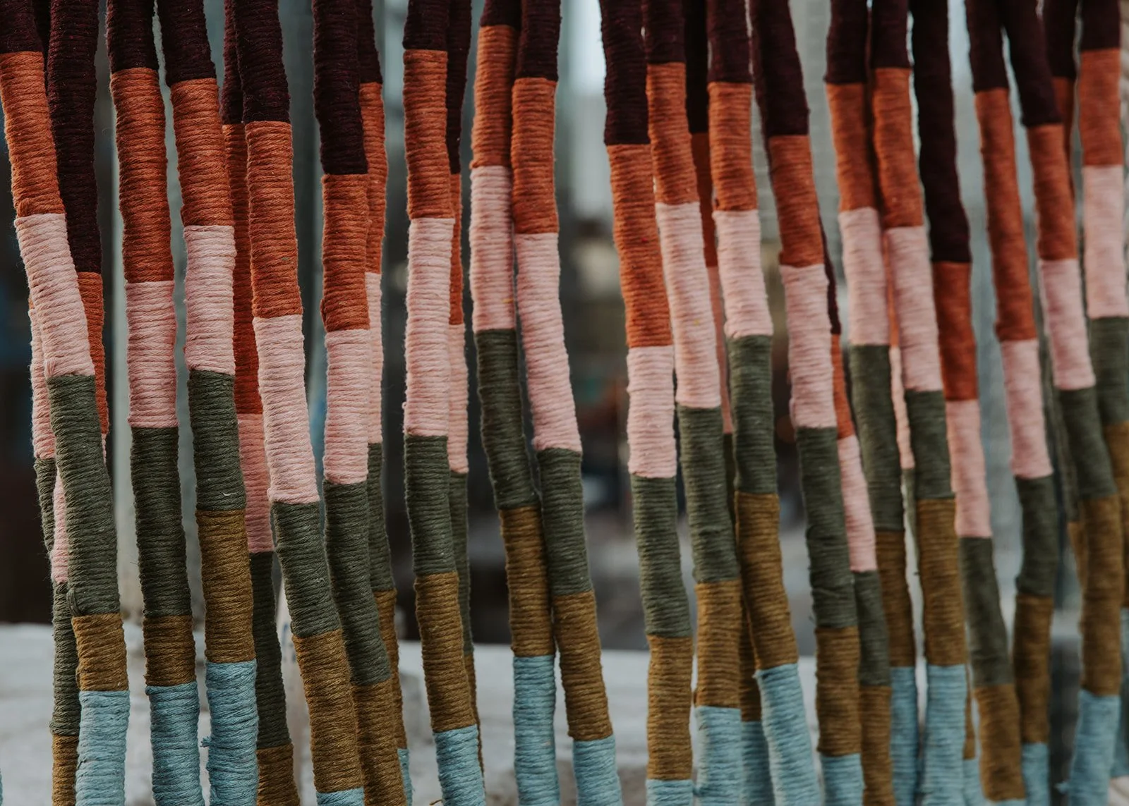 Seattle GIF-20152.jpg