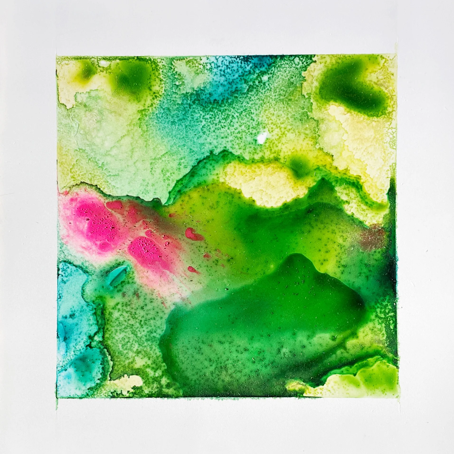 sold-terraNova-2.jpg