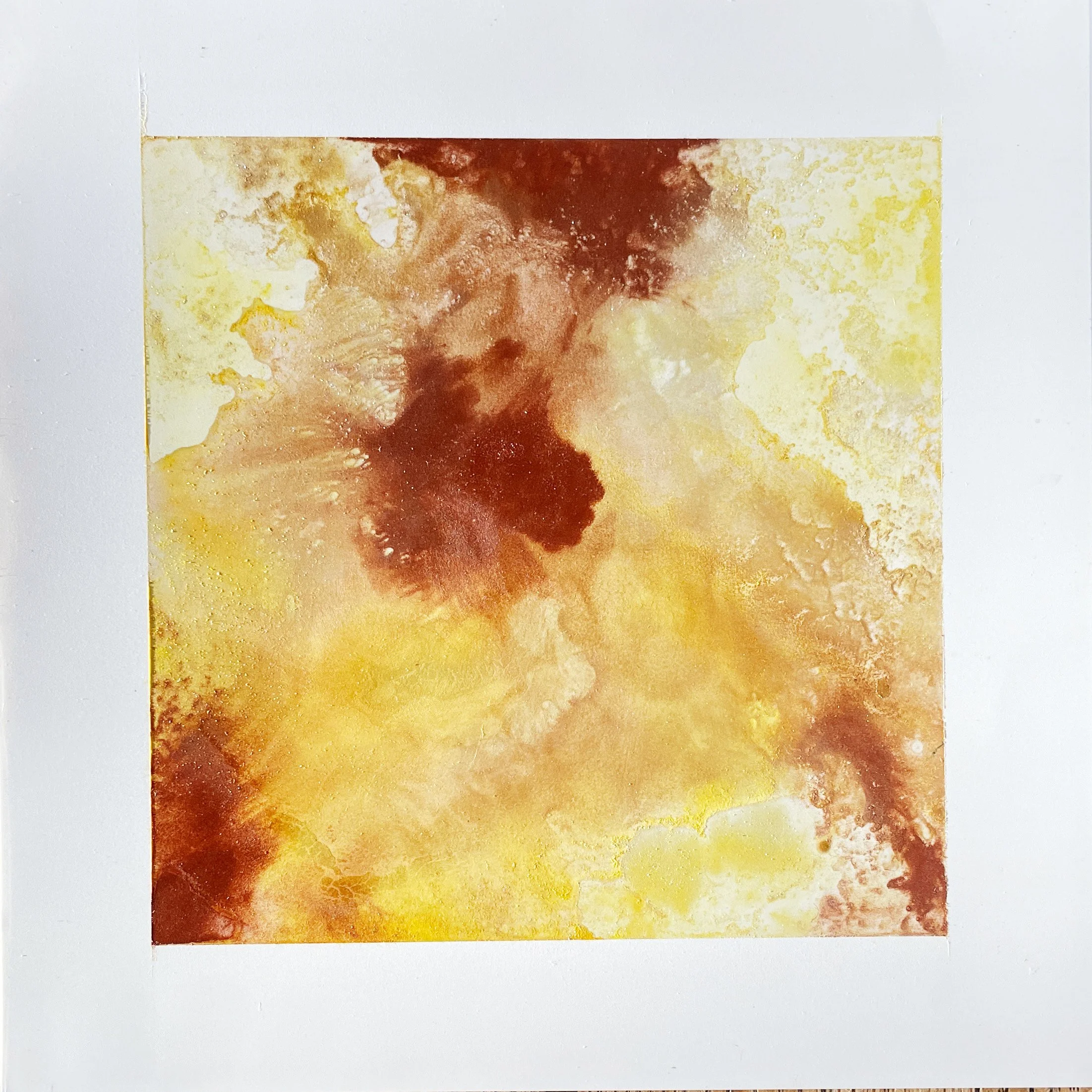 solarBloom-1.jpg