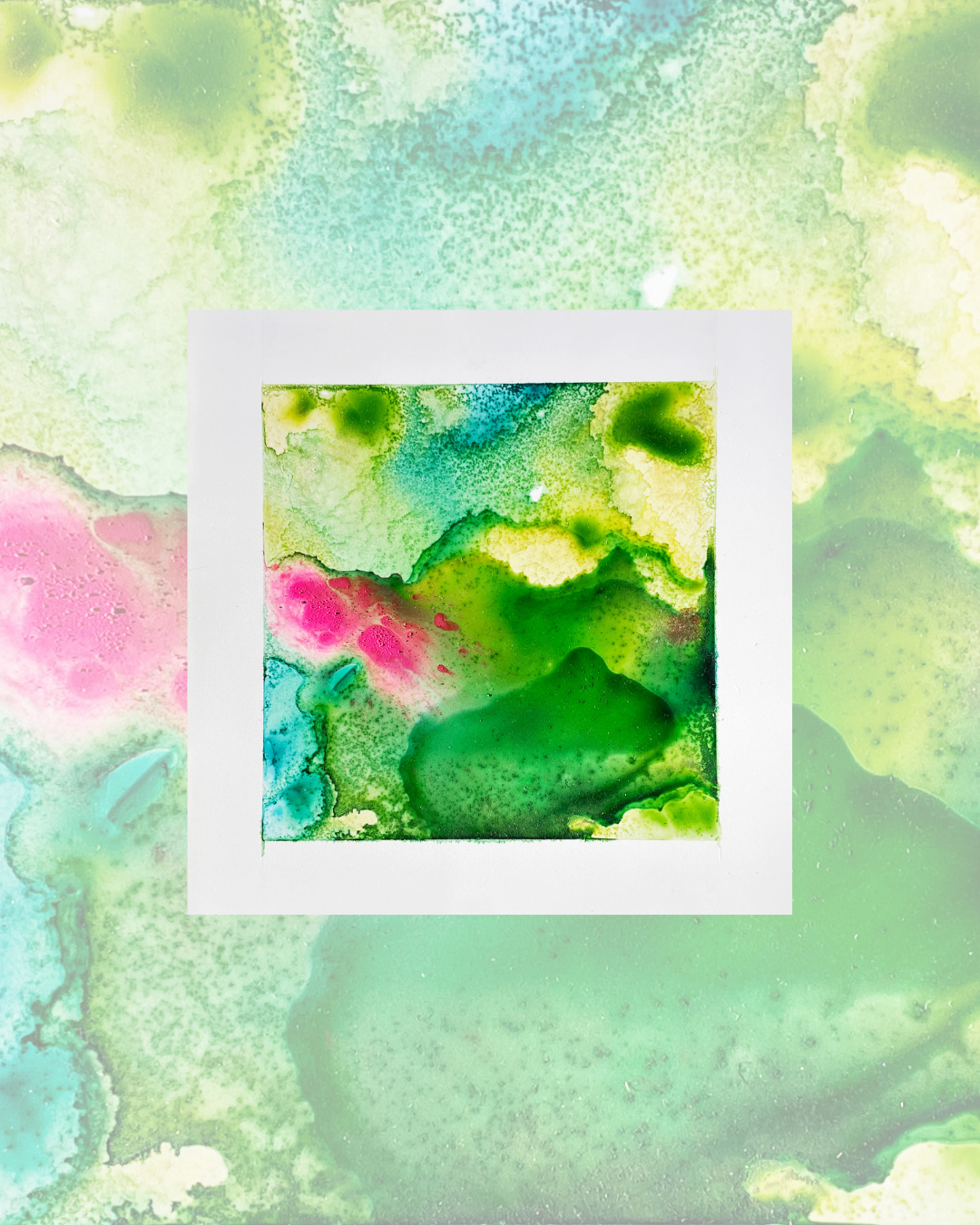 sold-terraNova-1.png