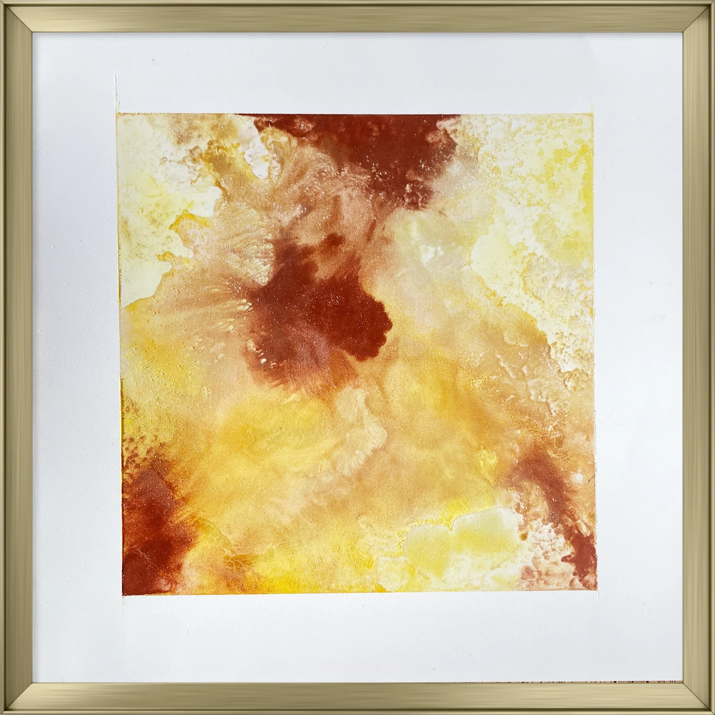 Solar Bloom