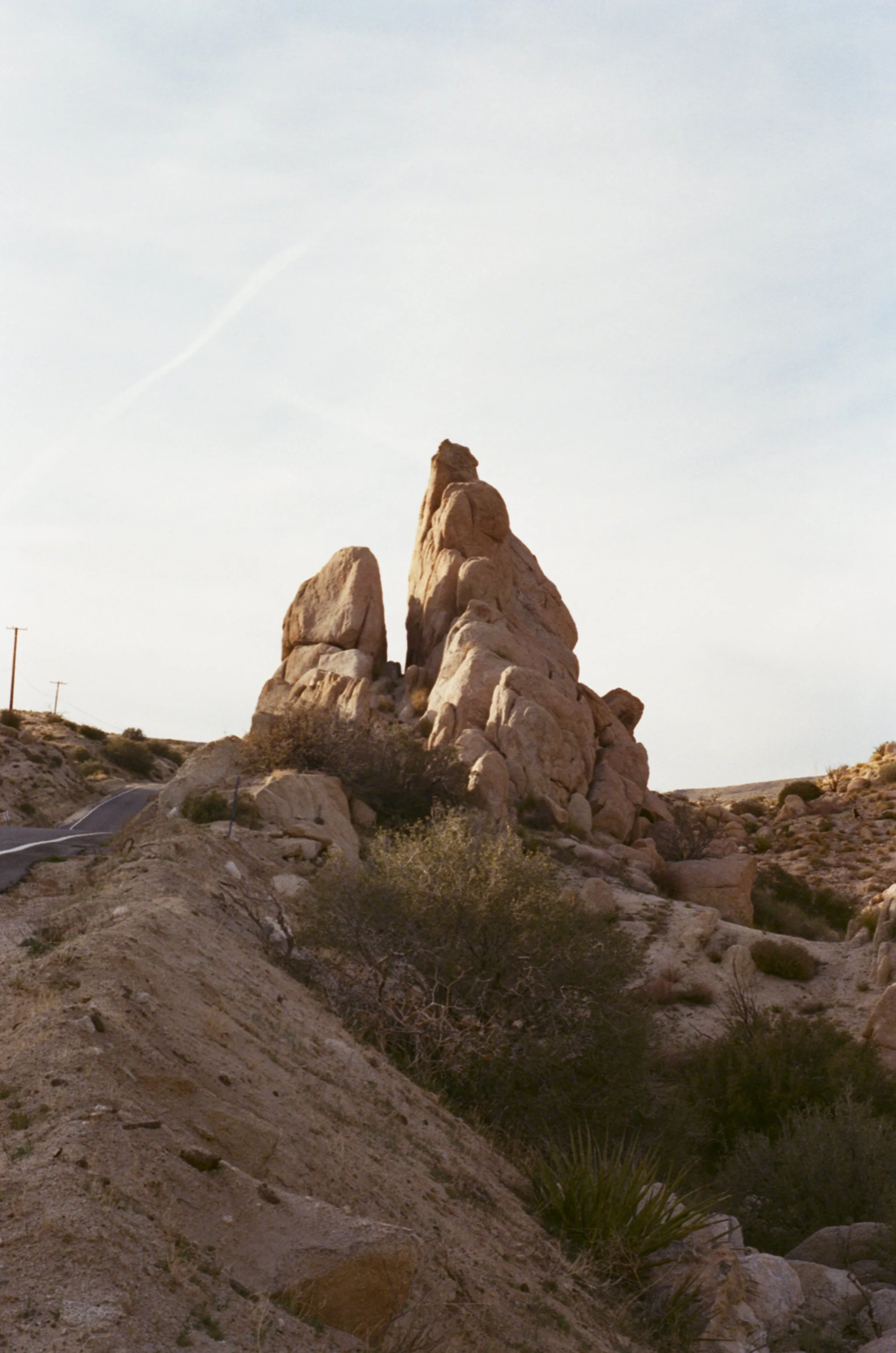 JoshuaTree4.jpg