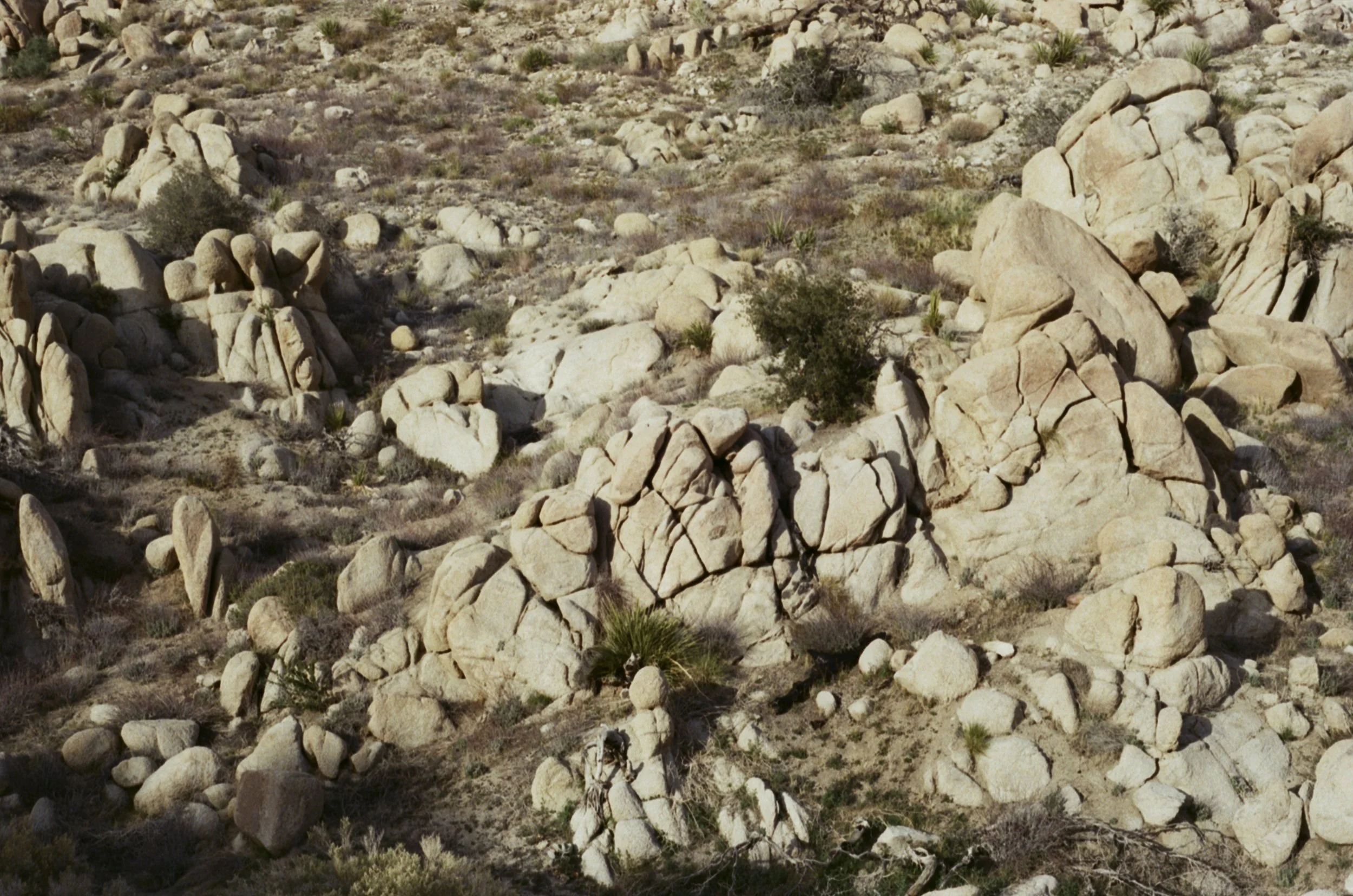 rocks.jpg