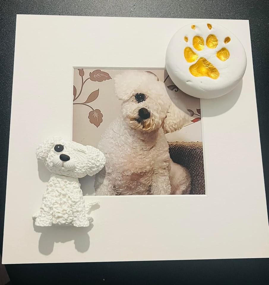paw 3.jpg