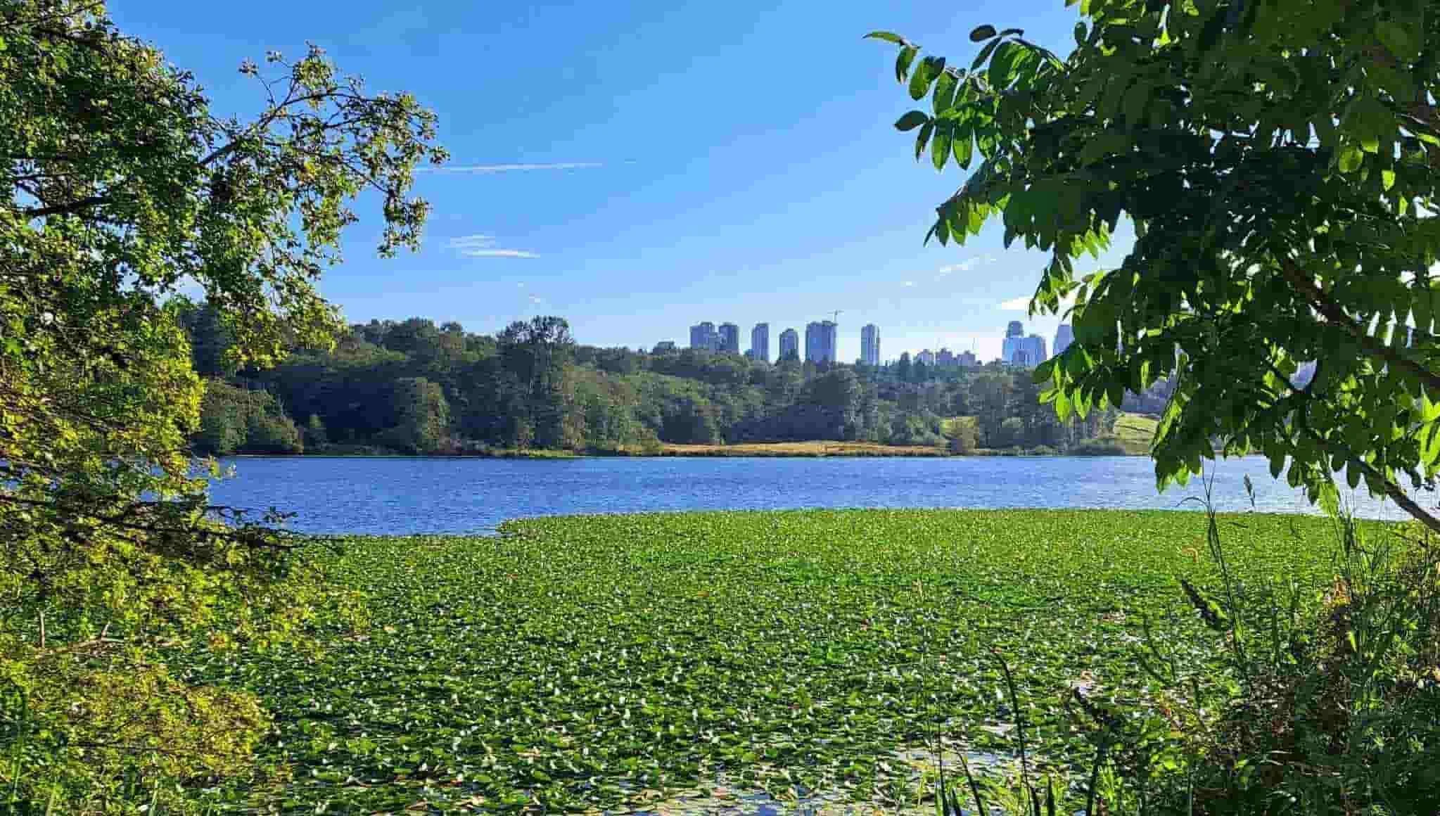 Beautiful walking trail around lake burnaby in british columbia