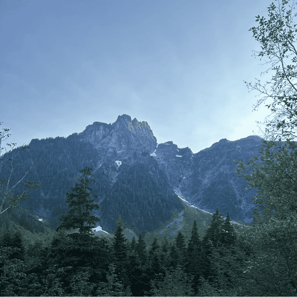 maple ridge house cleaners looking up at golden ears peak on golden ears trail after alder flats. Lookout trail nearby retired service road within the park. Trail follows up to golden ears panorama ridge shelter