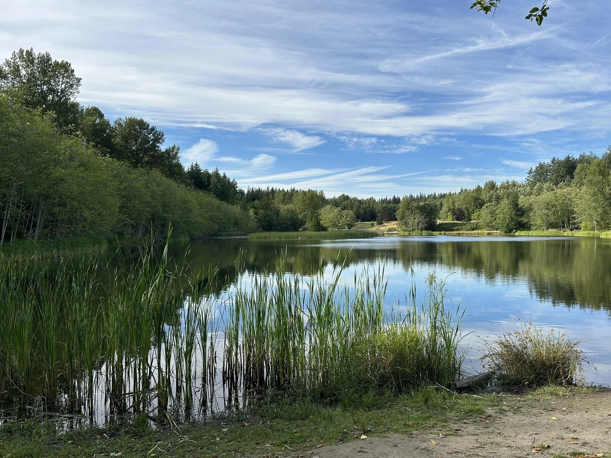 Lake in Surrey, British Columbia