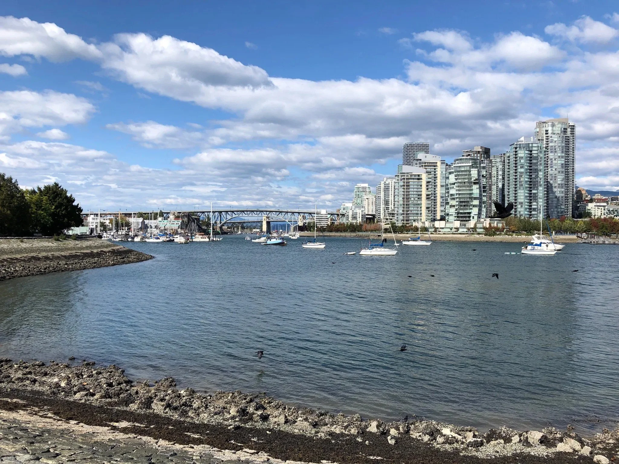 downtown cleaning services in vancouver in front of the water and beach with sailboats sailing and birds flying. The city and a bridge in the background