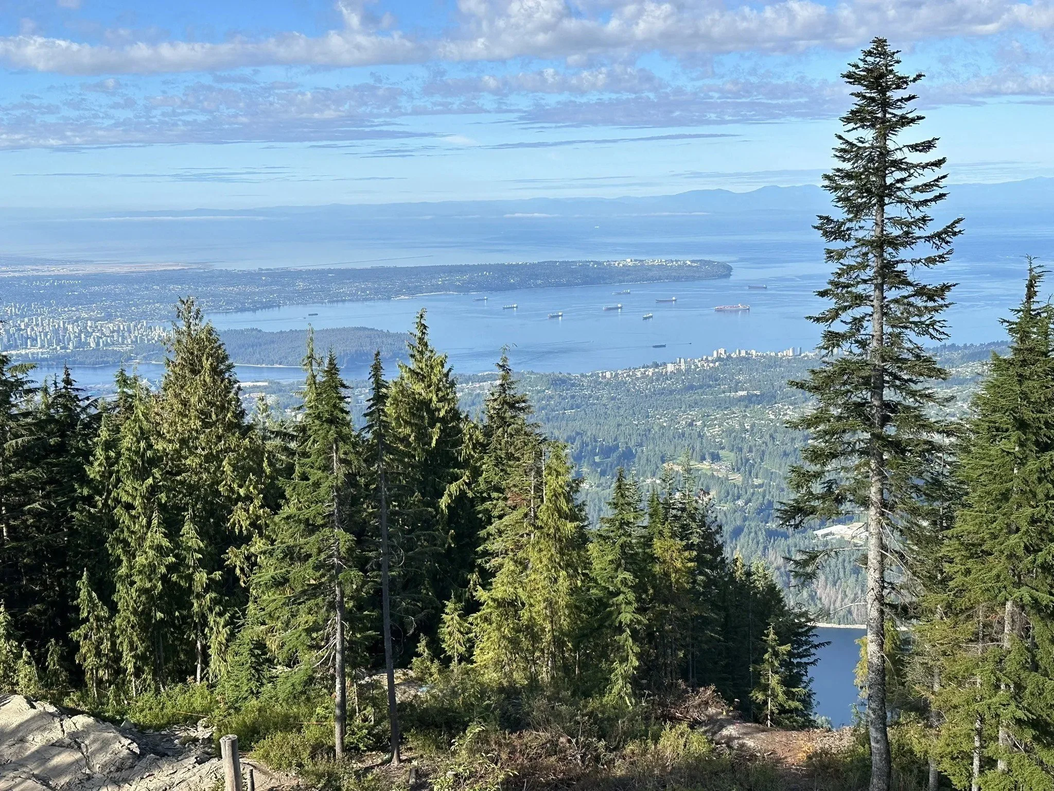 north vancouver cleaning services