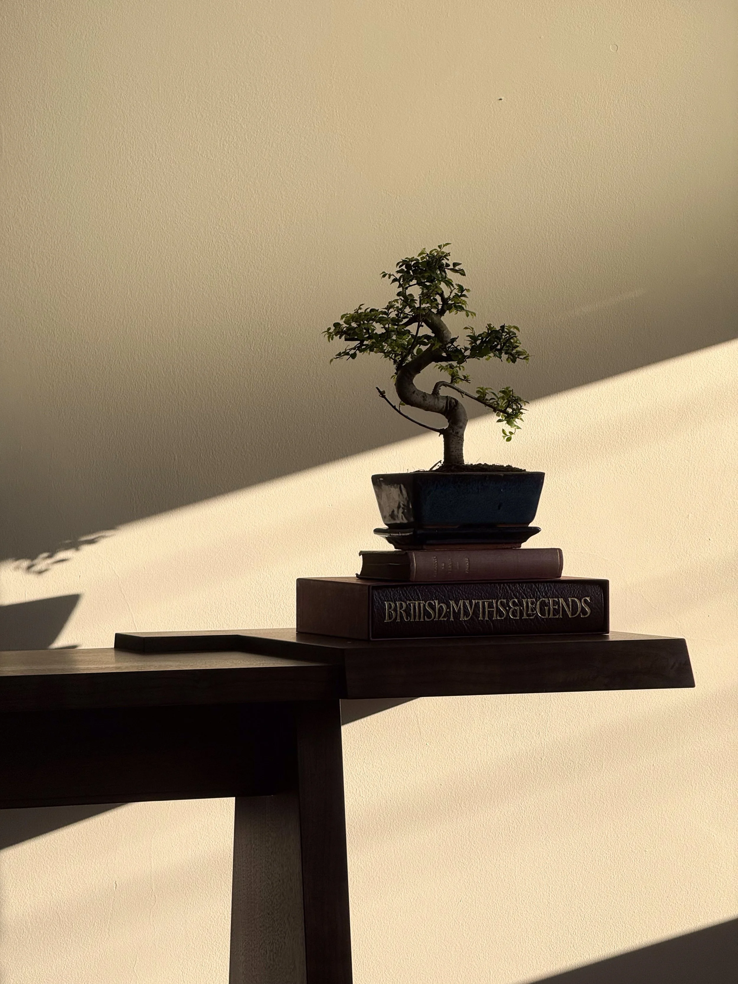 Praetorian Console, 2026.