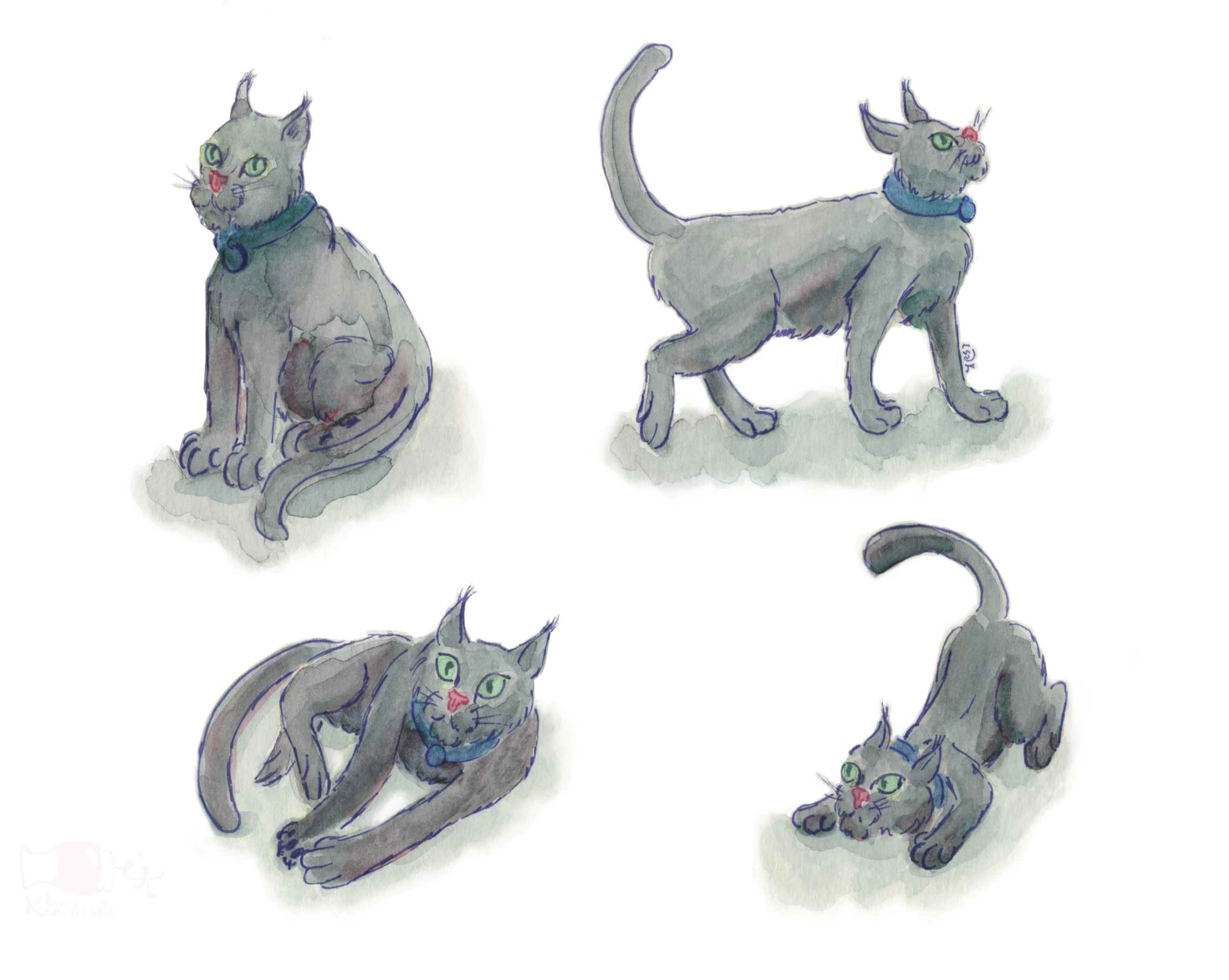 Inspired by a real cat at The Red Lion Inn