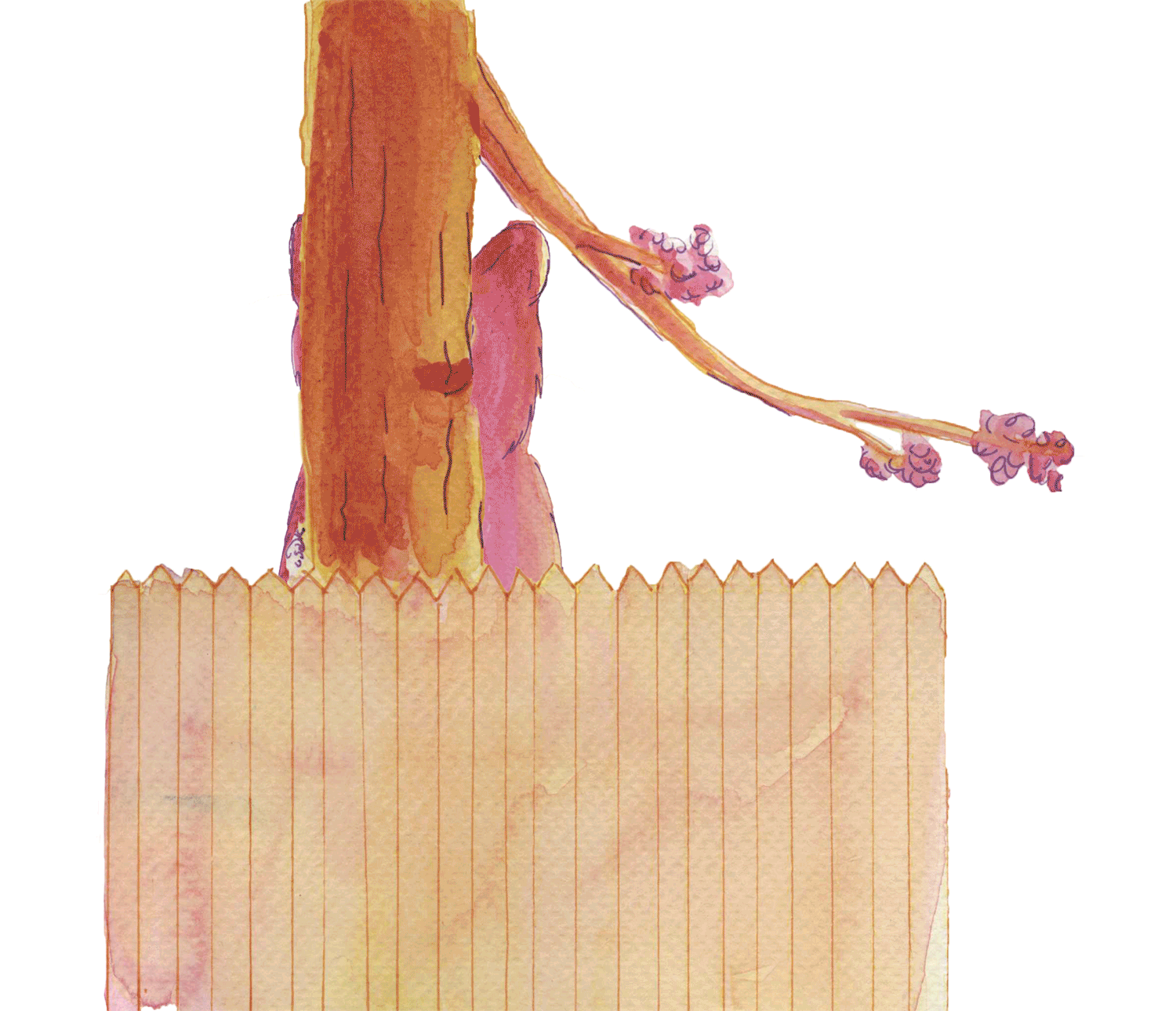 bear-animation.gif