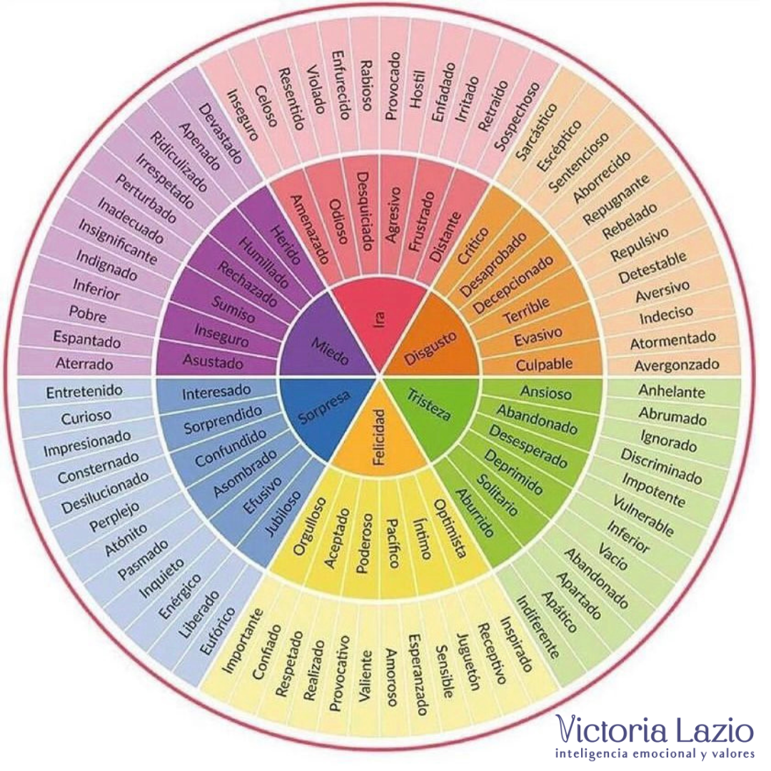RuedaEmocioneSentimientos.png