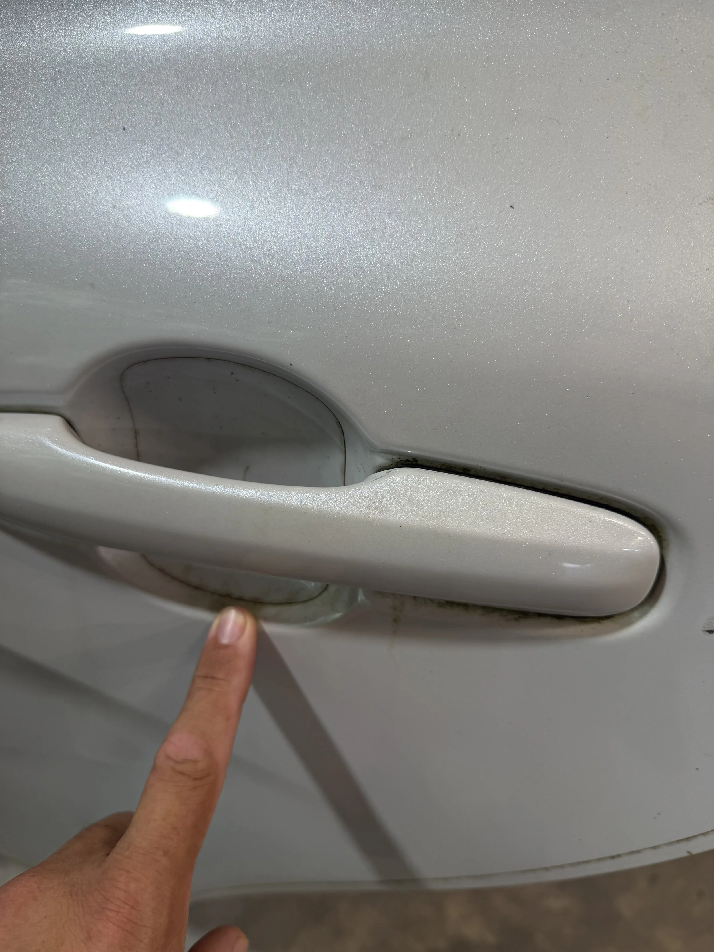 PPF (CLEAR BRA) REMOVAL SERVICE, SYLVA, NC