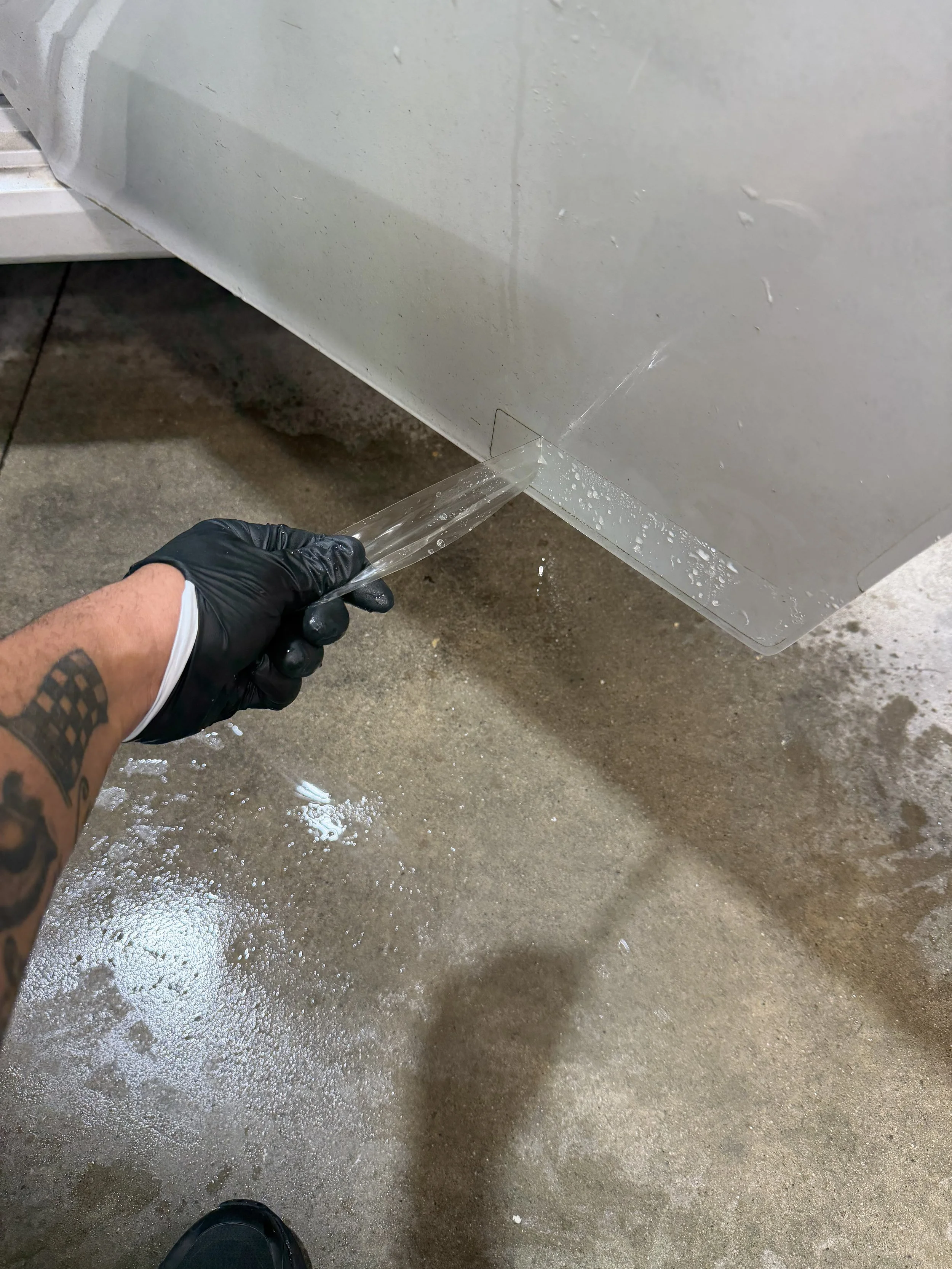 PPF (CLEAR BRA) REMOVAL SERVICE, SYLVA, NC
