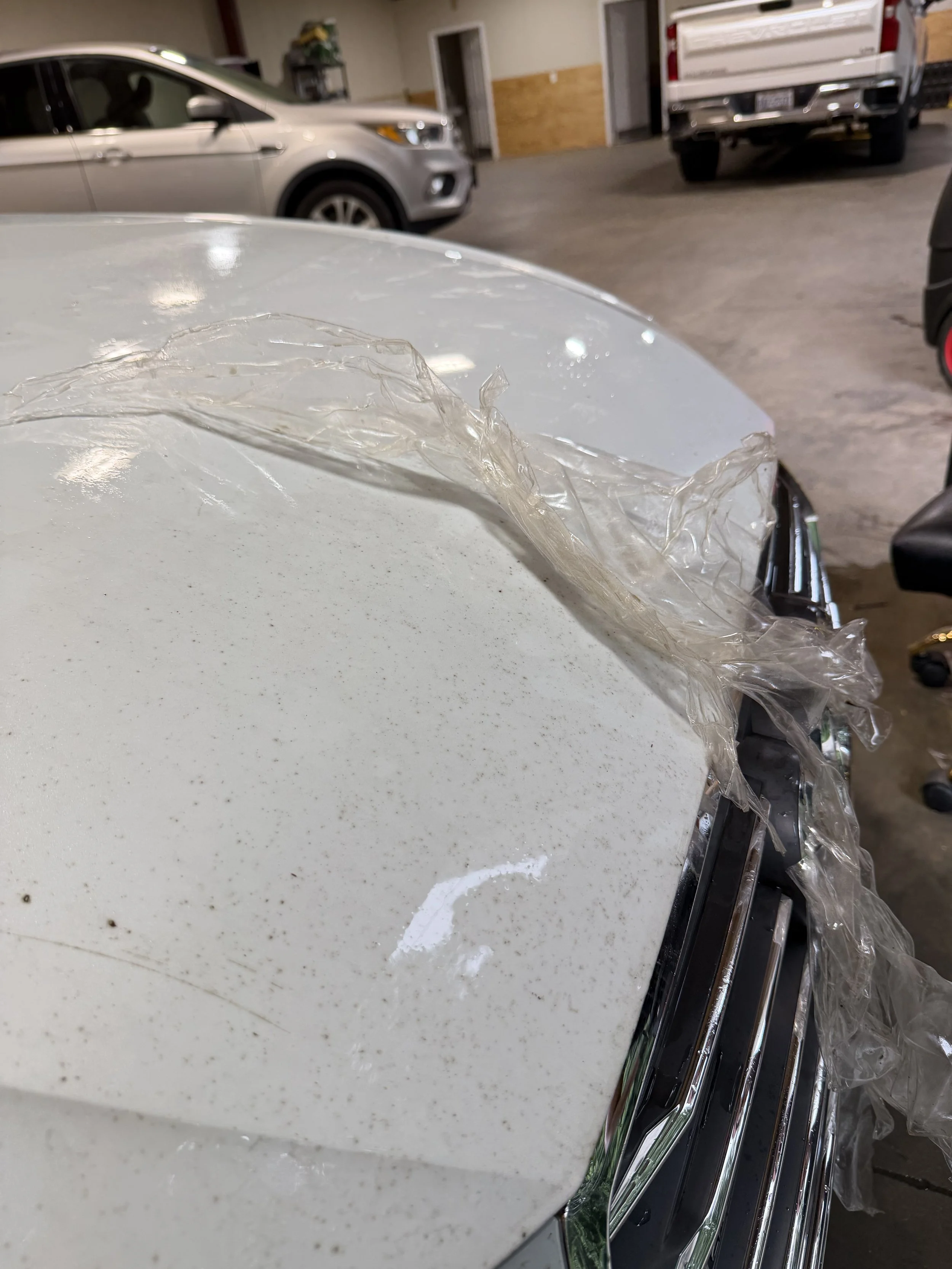 PPF (CLEAR BRA) REMOVAL SERVICE, SYLVA, NC