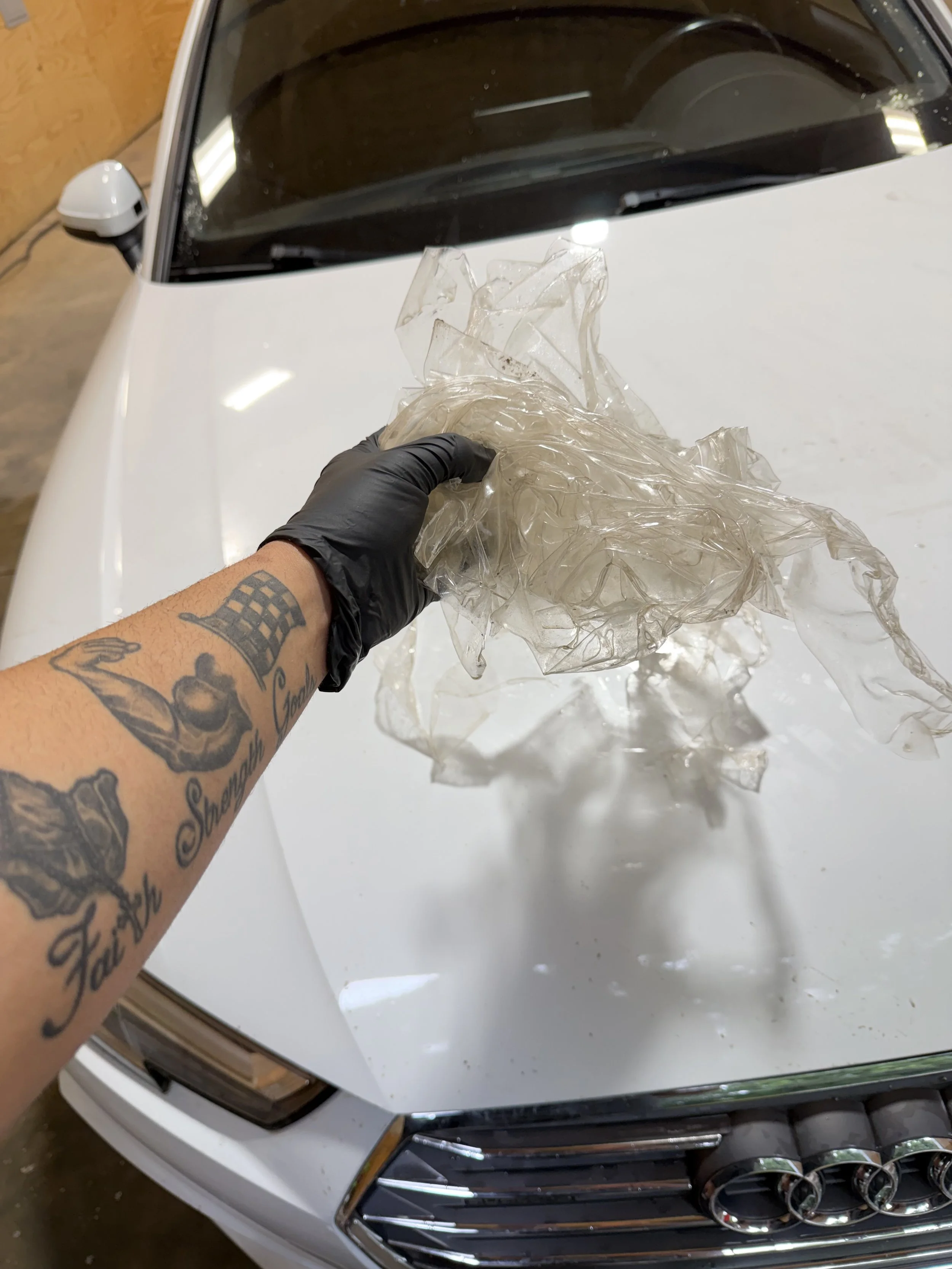 PPF (CLEAR BRA) REMOVAL SERVICE, SYLVA, NC