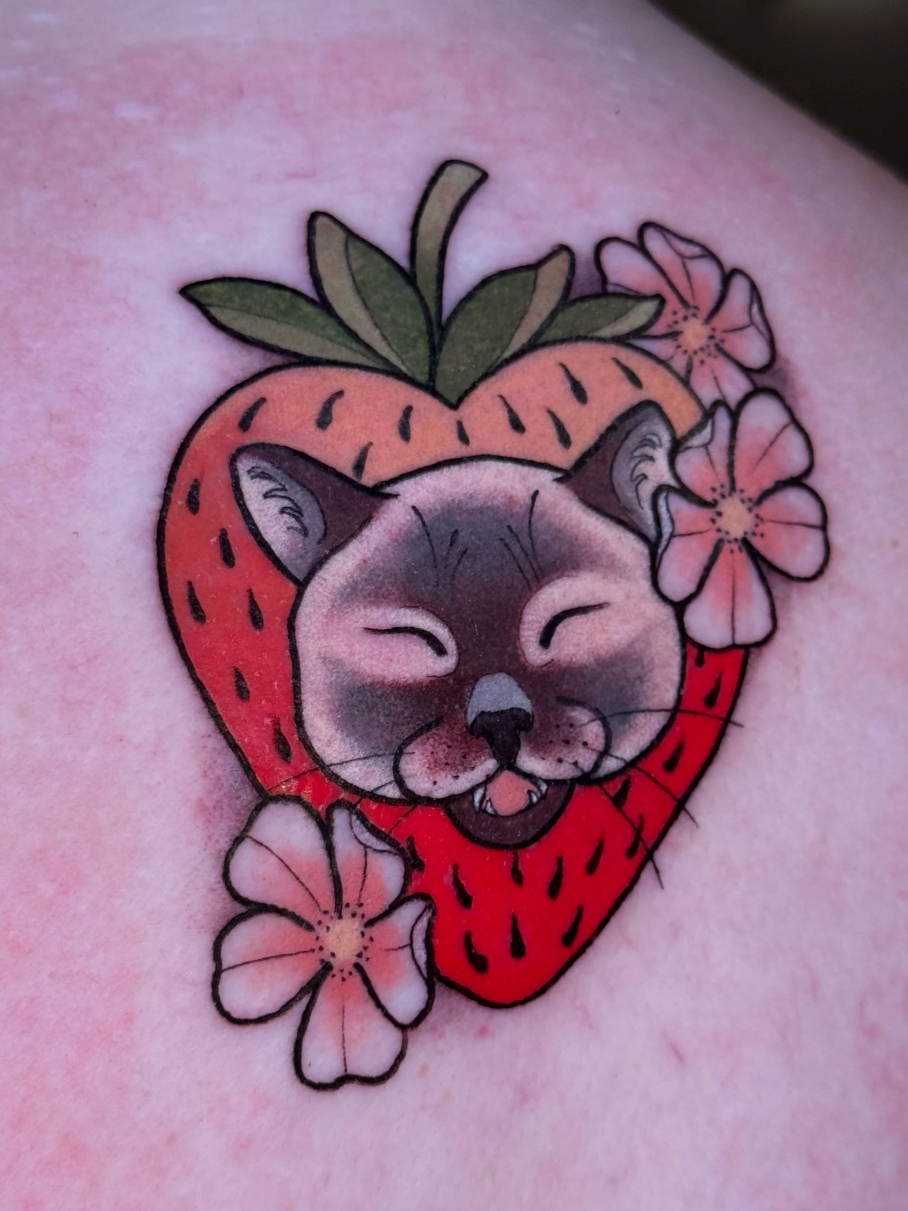 Neotraditional cat in strawwberry color tattoo