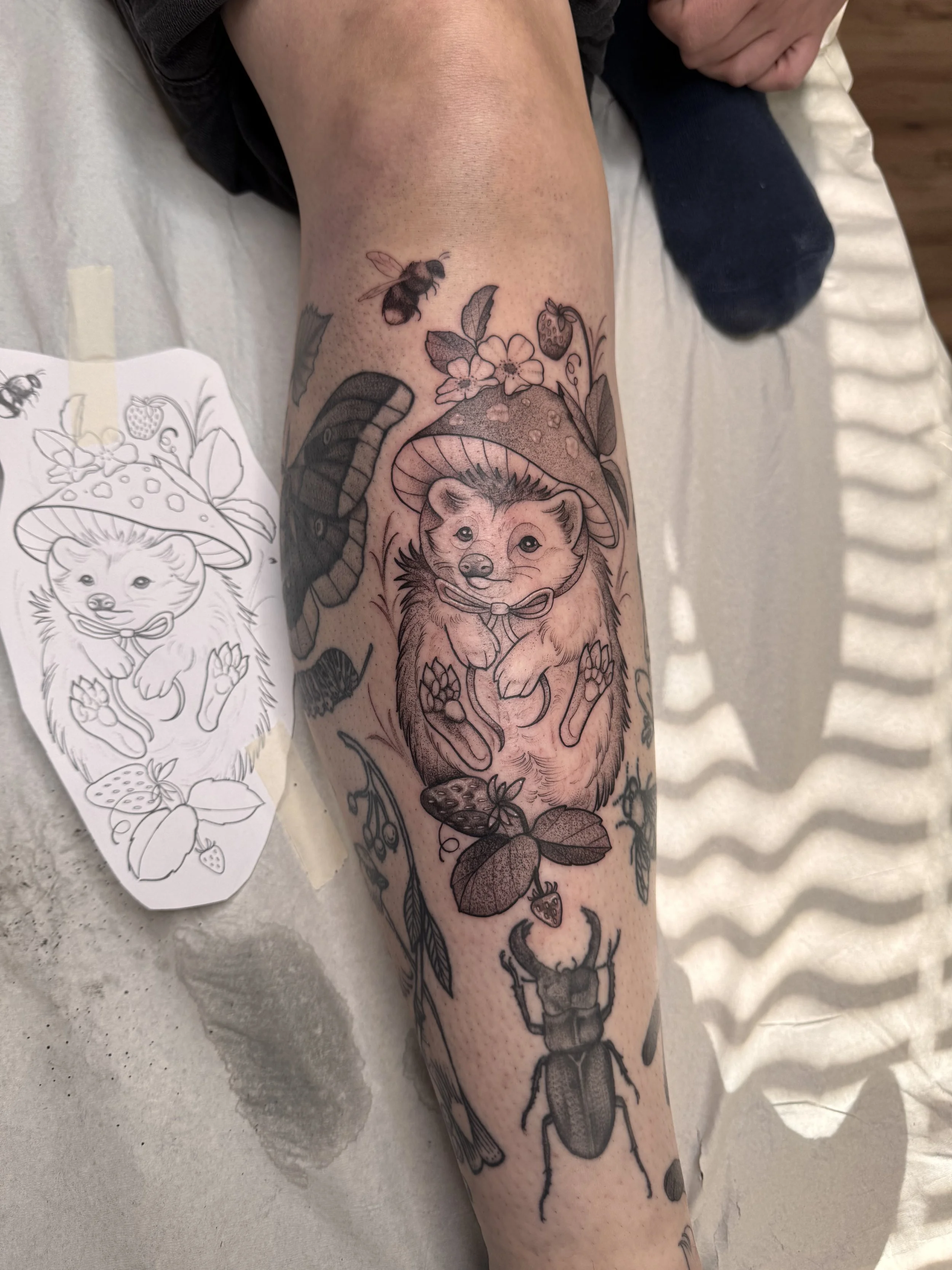 Close up of a fineline/neotraditional/illustrative hedgehog tattoo in black and grey dot shading