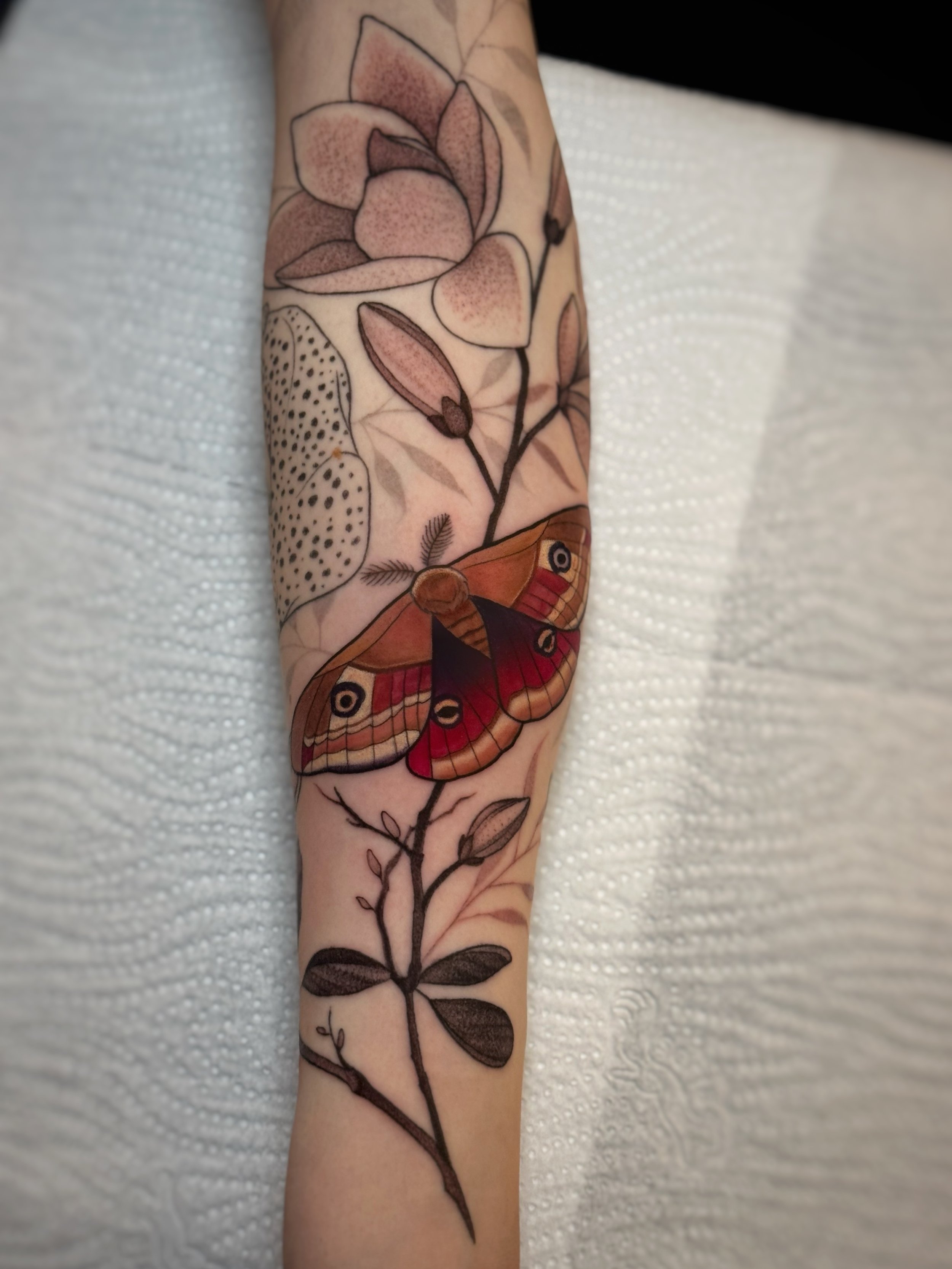 moth and flowers fine line neotraditional tattoo