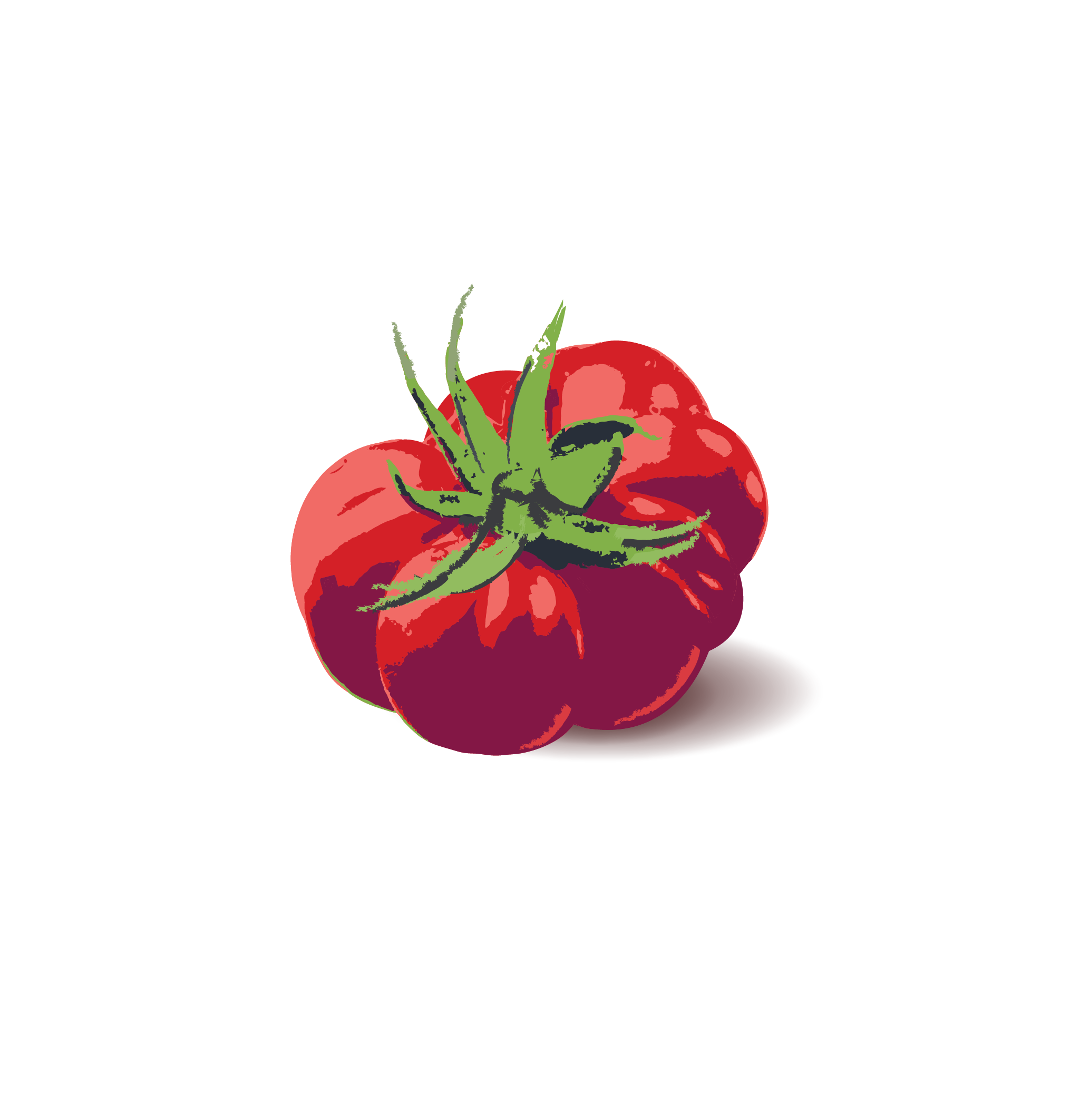 EIEIO LLC - Brand & Marketing Re-Vamp