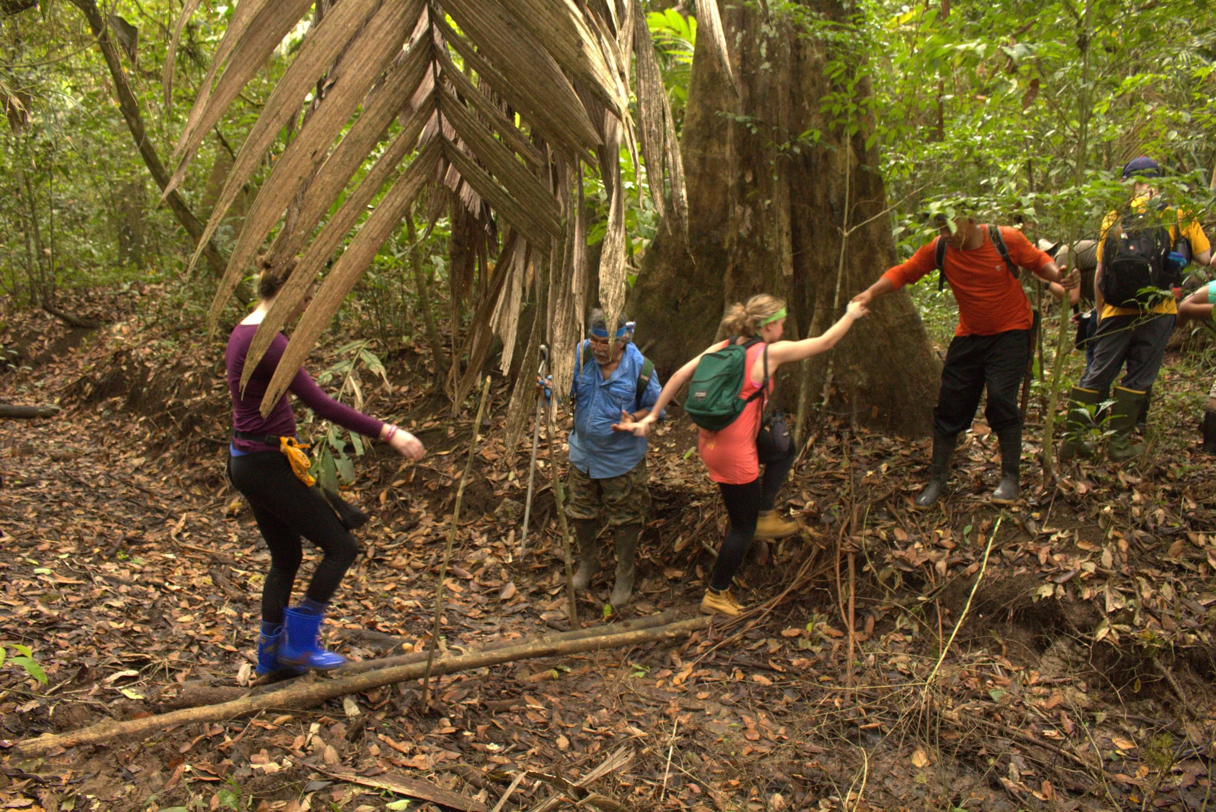 Youth Climate Collaborative | A Home for Youth Climate Leaders Worldwide