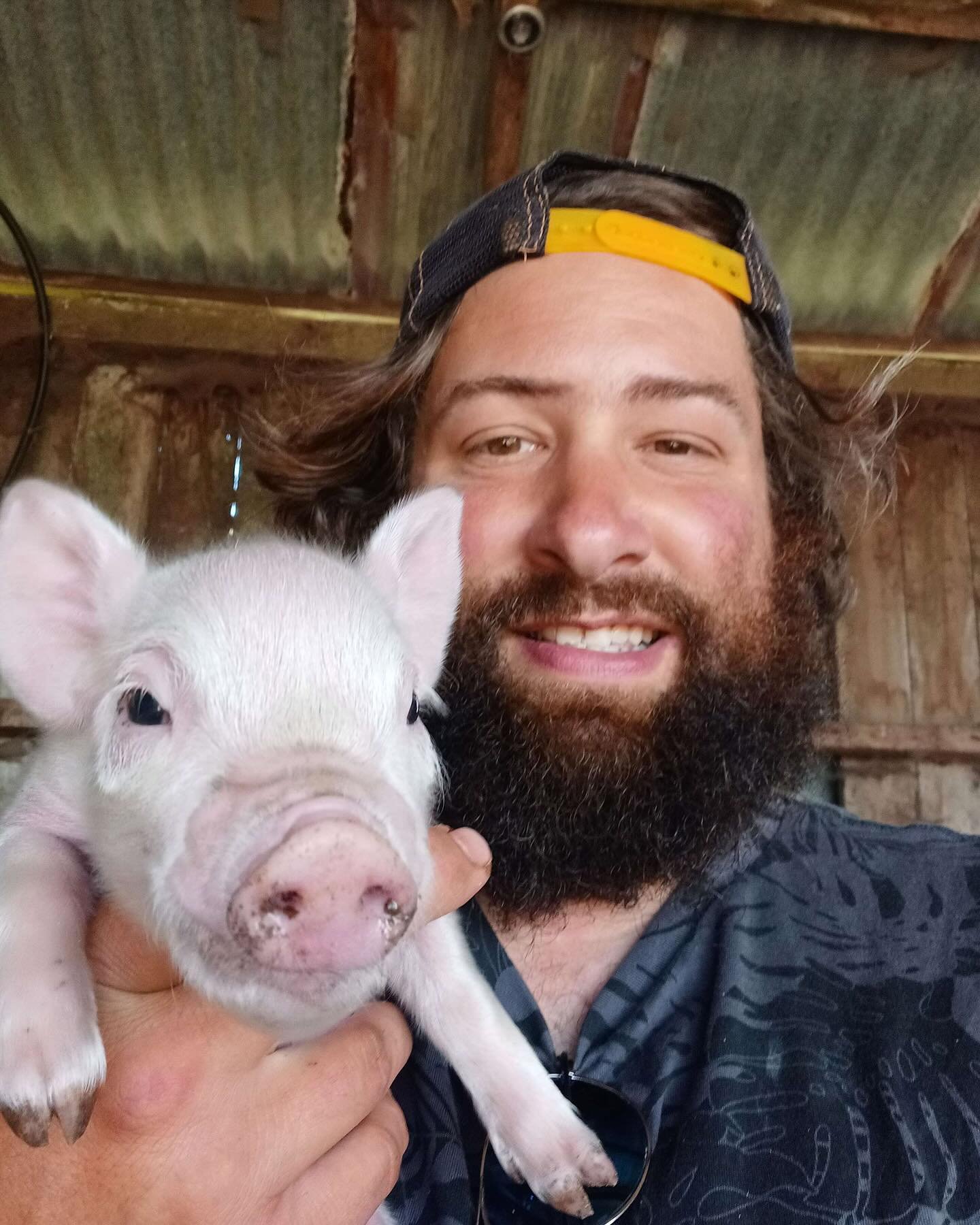 Surprise! These little piggies went wee wee wee into the hearts of our community. At an unknown time while we were asleep nature took care of itself. Great mothering Marshmallow! 9 healthy piglets have brought a joyful spring to @arikiestate and @tum