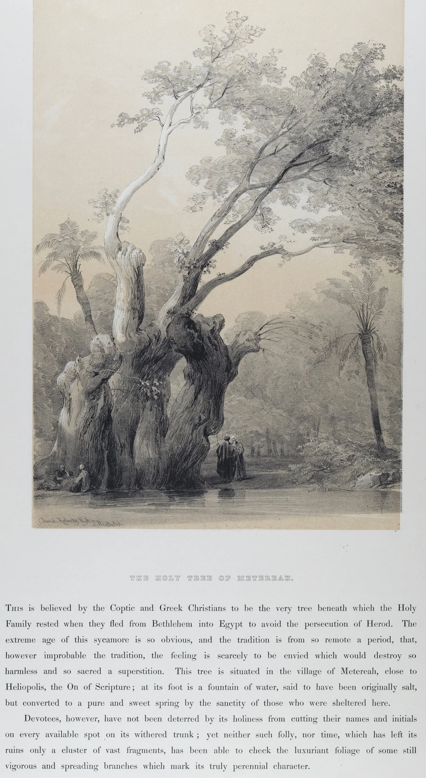 5460B Roberts, The Holy Tree of Metereah.jpeg