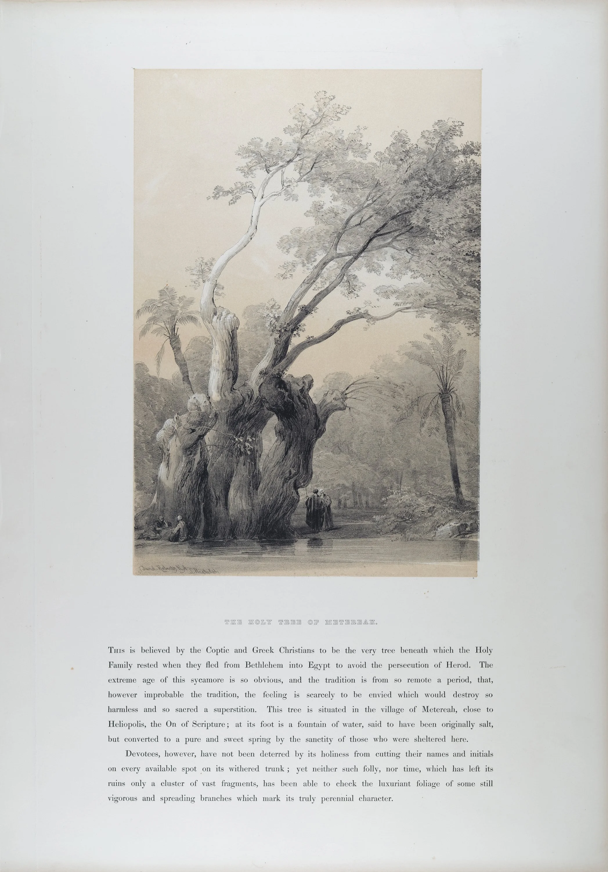 5460 Roberts, The Holy Tree of Metereah.jpeg