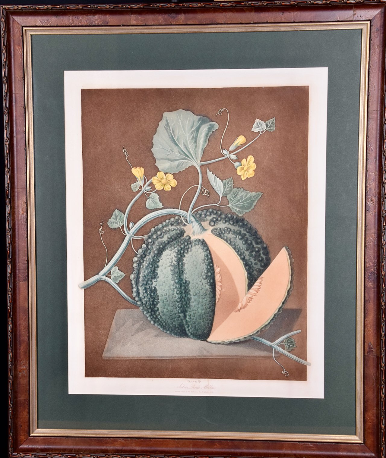 3298 Brookshaw, Silver Rock Melon.jpeg