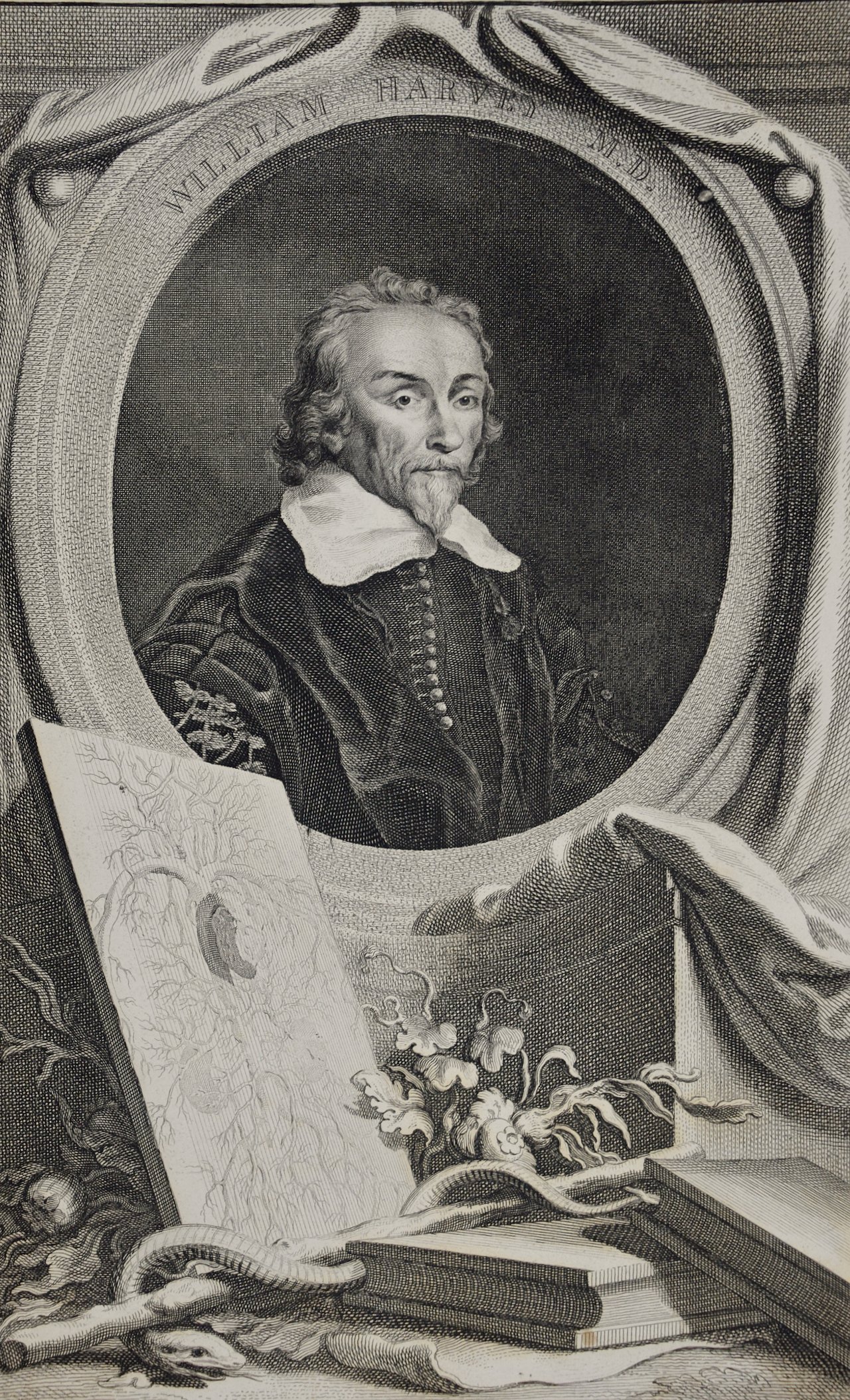 932A Houbraken, William Harvey, MD.jpeg