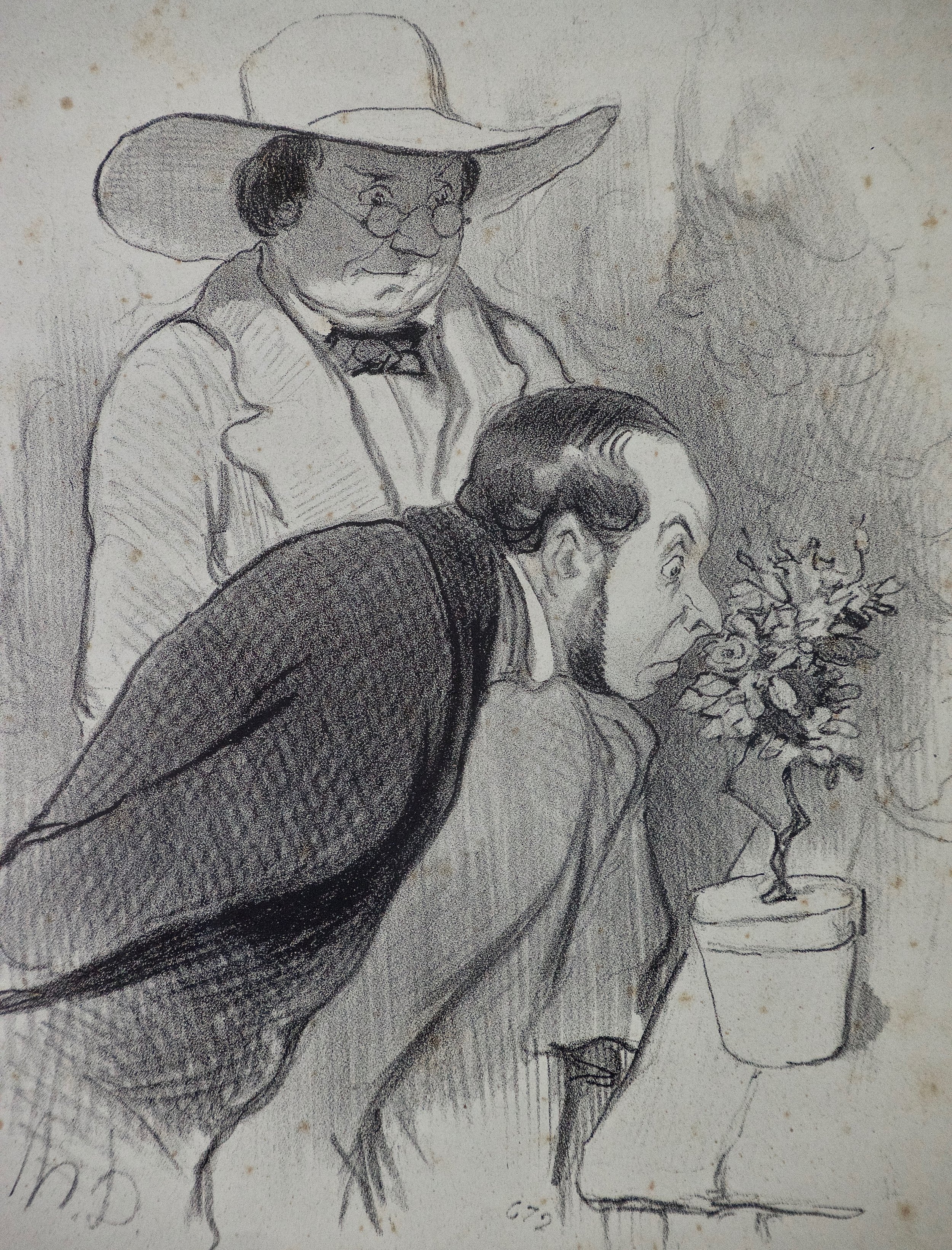 2291B Daumier Un Triomphe de Botaniste (Triumph of the Botanist).jpg
