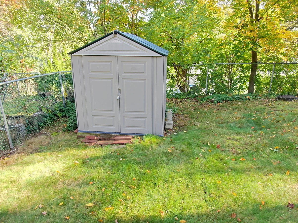 backyard7.jpg