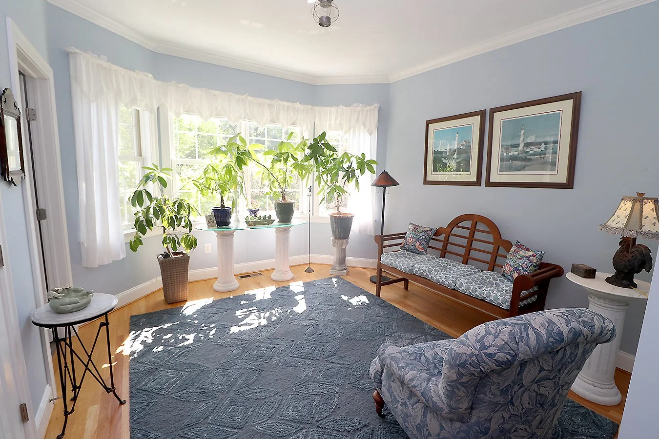Bluebed1.jpg