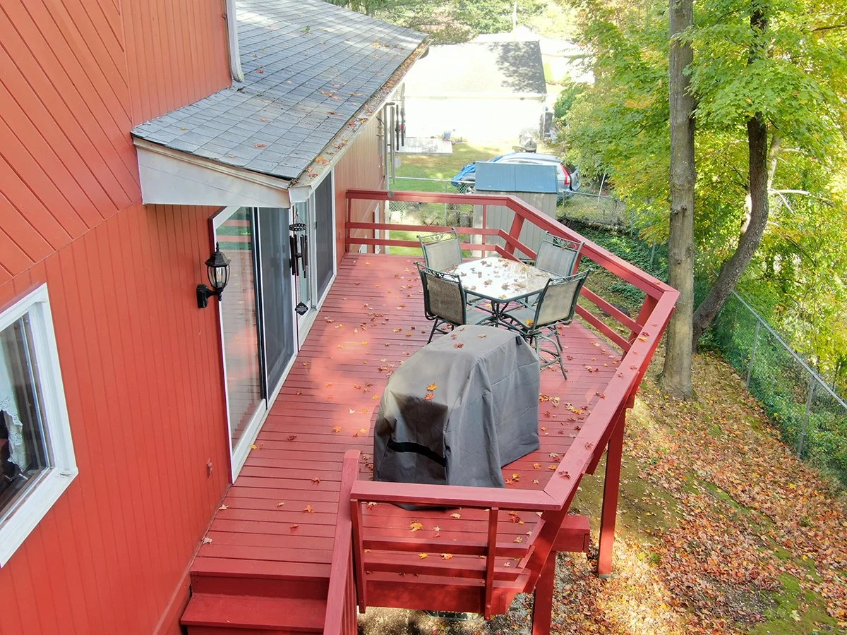 backyard3.jpg