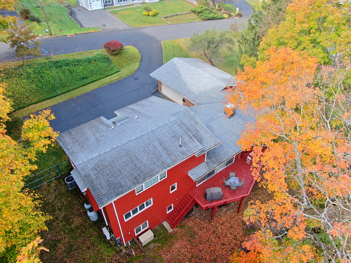 backyard5.jpg
