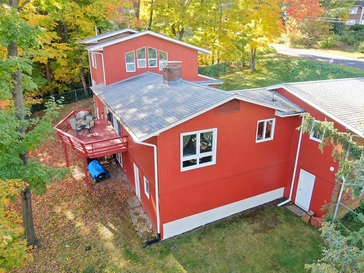 backyard6.jpg