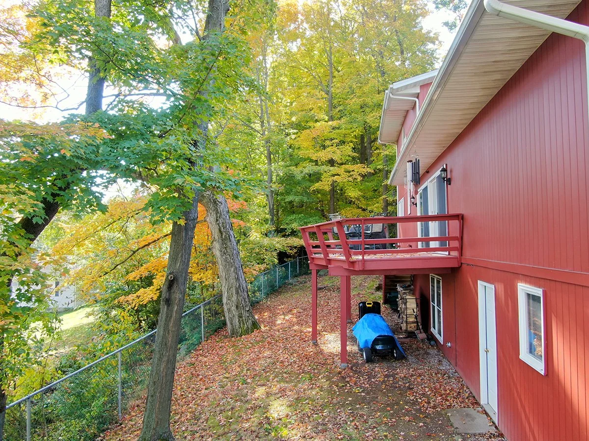 backyard1.jpg