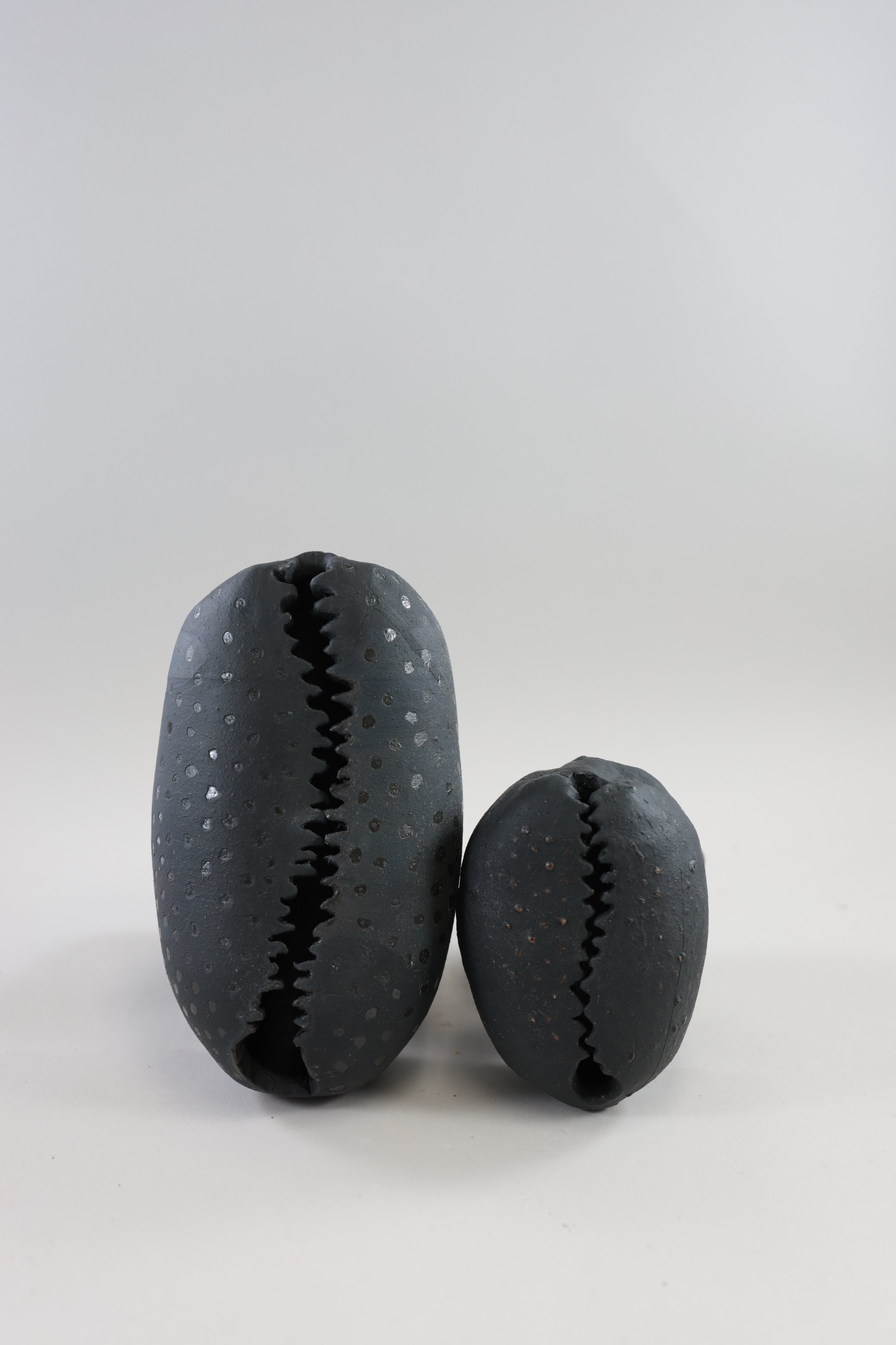 Two black vertically situated ceramic cowrie shells