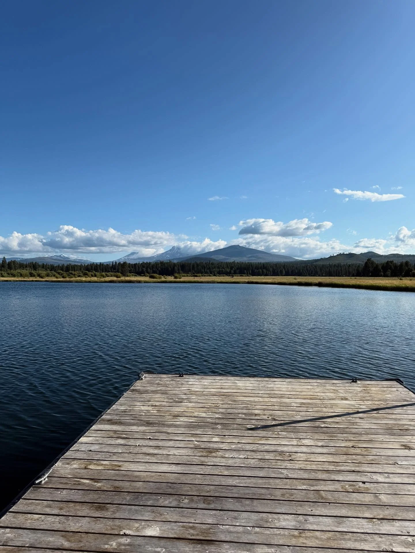 Out of the office! Looking forward to seeing all my clients on Tuesday