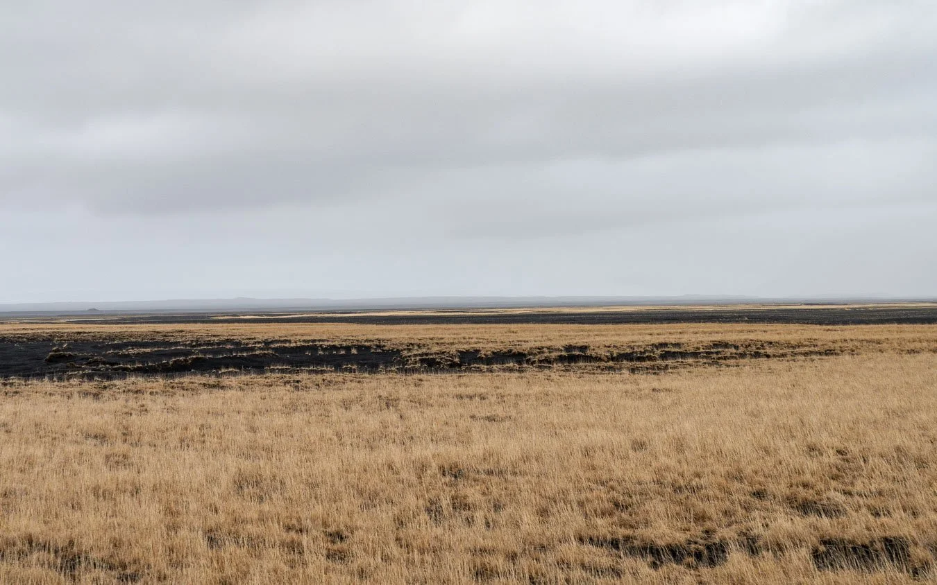  The vast, windswept plains of  Skaftafell  stretch endlessly, showcasing the stark beauty of southern Iceland's volcanic landscape. 