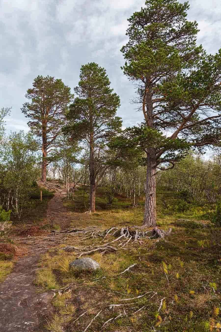  Njakajaure nature trail 