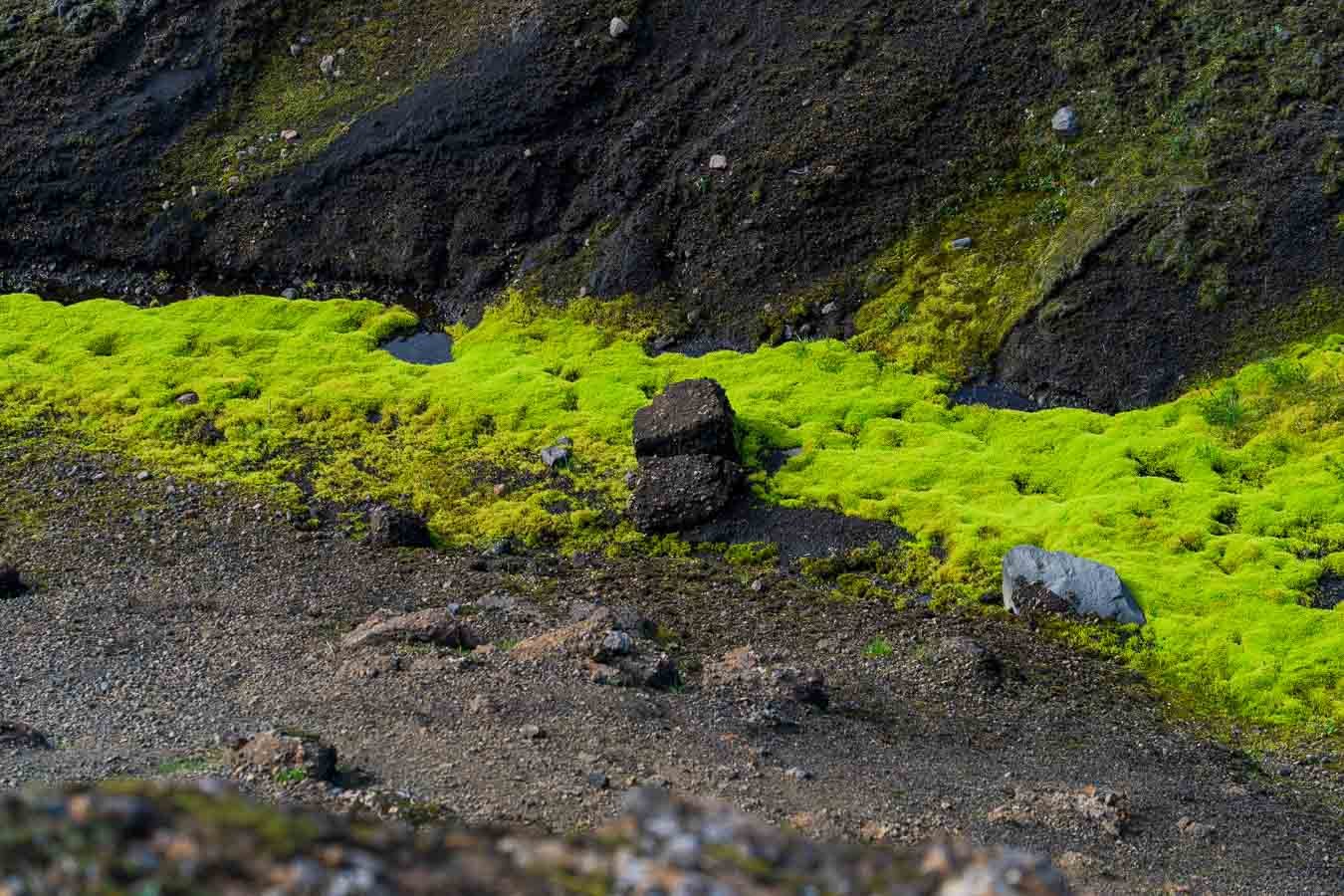 Black-sand_ice-fields_Laugavegur_Trail_Emstrur_Álftavatn_Segment_Highlands_Iceland-visual-travel-guide-blog-17.jpg