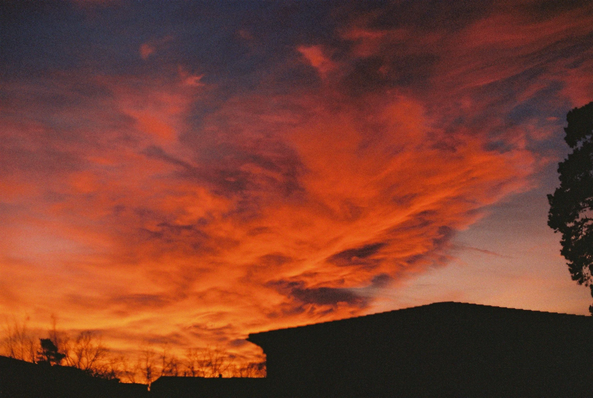 ▴ Intense Sunset Sky above Rooftops (Gold 200)