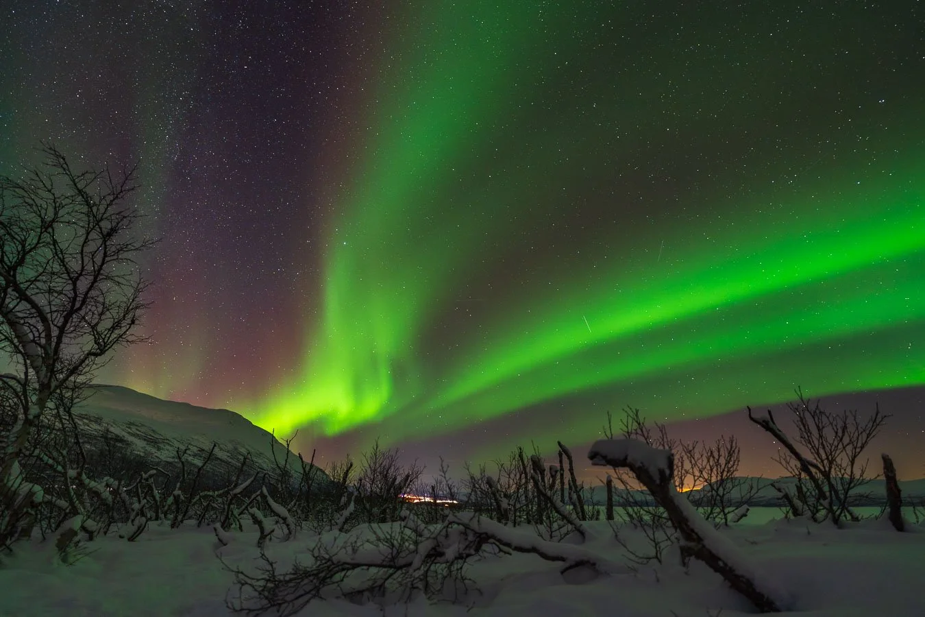 Northern lights over Lake Torneträsk in Abisko National Park, Swedish Lapland, with vivid green aurora borealis patterns in the night sky.