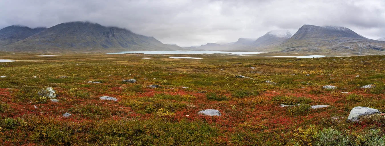 Autumn landscape along the Kungsleden Trail in Swedish Lapland, with alpine lakes, mountain backdrops, and vibrant fall foliage including shrubs and tundra vegetation.