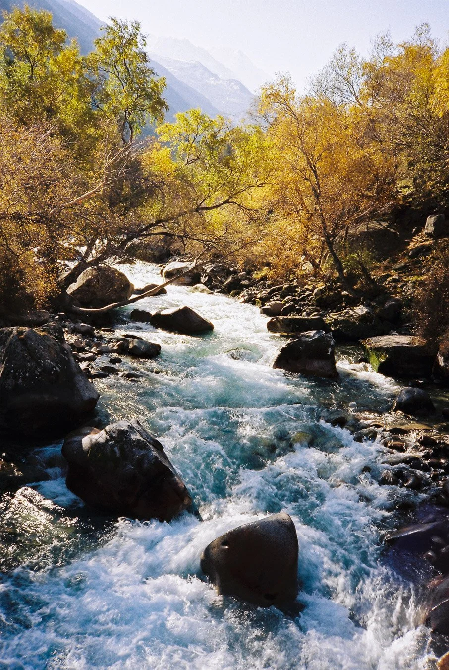 ▴ Fall Foliage in the Kyrgyz Mountains (Vision3 250D)